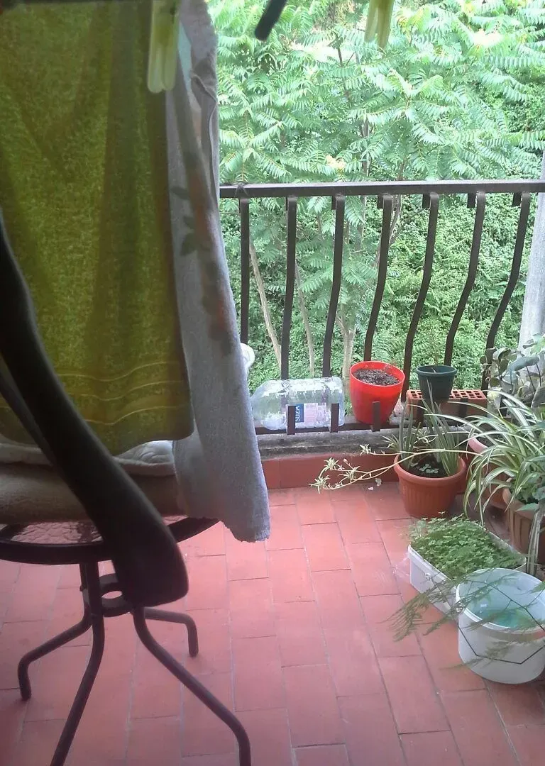 Prodaja, stan, 35m², Kotor, Crna Gora