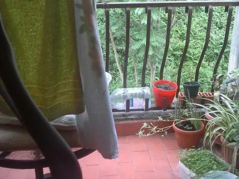 Prodaja, stan, 35m², Kotor, Crna Gora - image 2