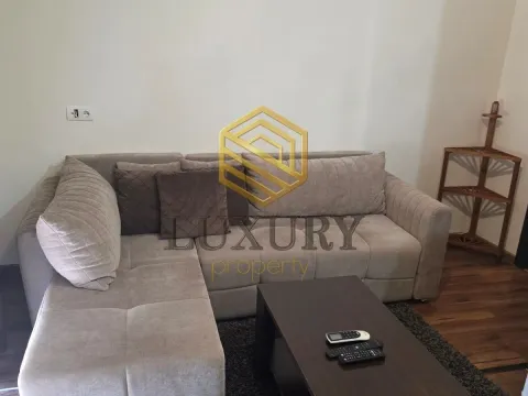 Rent, studio apartment, 25m², Zabjelo, Podgorica - image 6