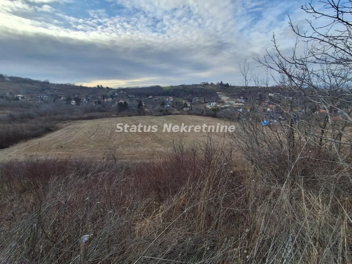 Prodaja, plac, 14994m², Ledinci, Petrovaradin