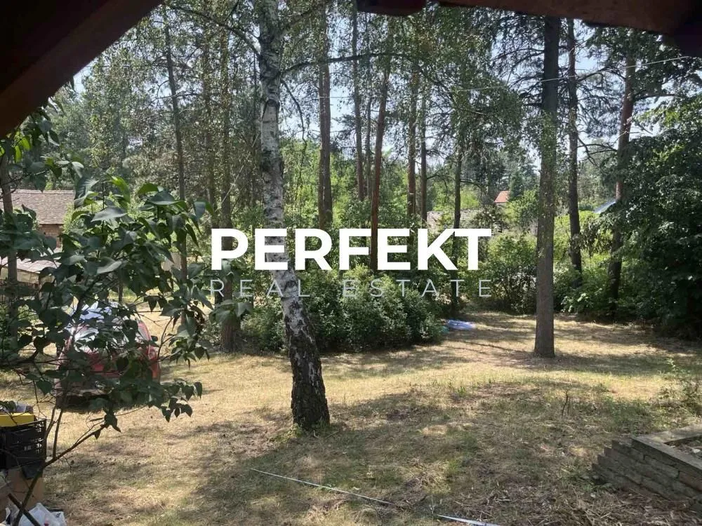 Prodaja, kuća, 43m², Alibunar, Srbija