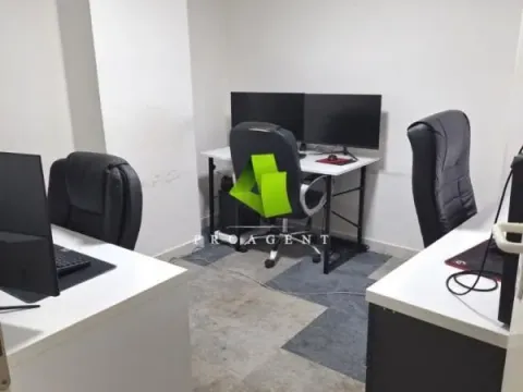 Izdavanje, poslovni prostor, 300m², Pantelej, Niš - image 3