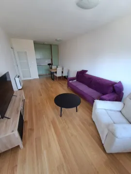 Rent, one bedroom apartment, 59m², Central Point, Podgorica - image 1272