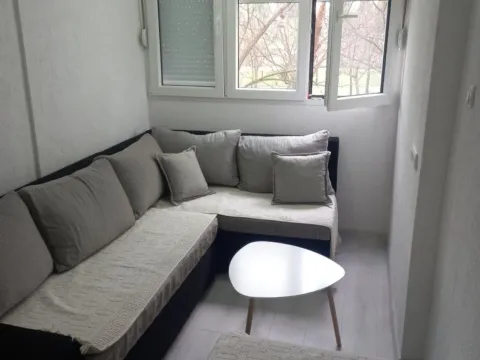 Rent, one bedroom apartment, 31m², Zabjelo, Podgorica - image 2