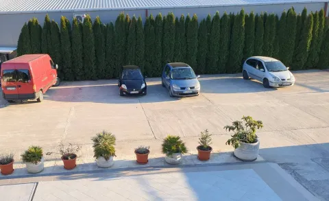 Paved parking area in front of the building with decorative plants. - image 23