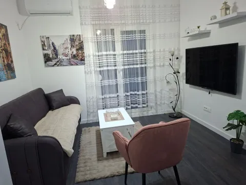 Rent, one bedroom apartment, 34m², Zabjelo, Podgorica - image 1