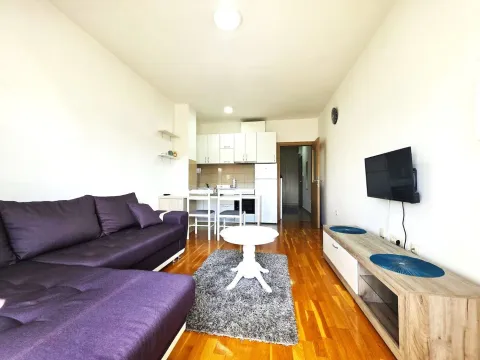 Rent, studio apartment, 30m², Ljubović, Podgorica - image 3