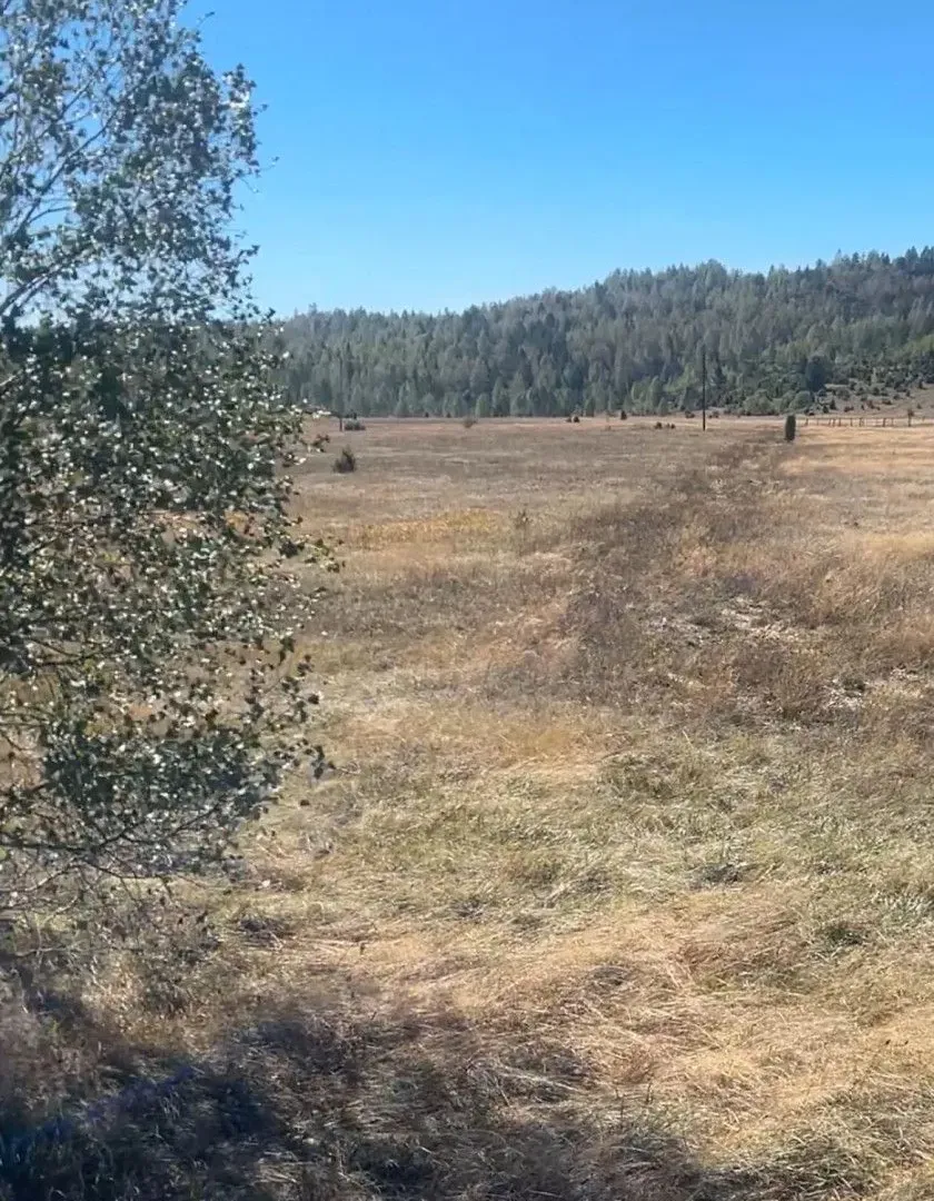 Prodaja, plac, 1450m², Žabljak, Crna Gora