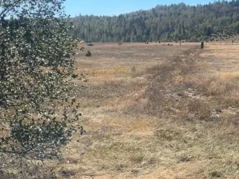 Sale, land lot, 1450m², Žabljak, Crna Gora - image 5