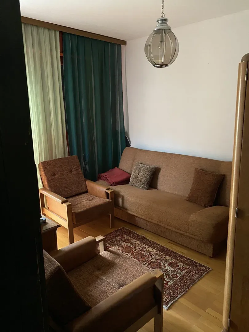 Manja dnevna soba sa smeđom garniturom za sjedenje i tepihom.