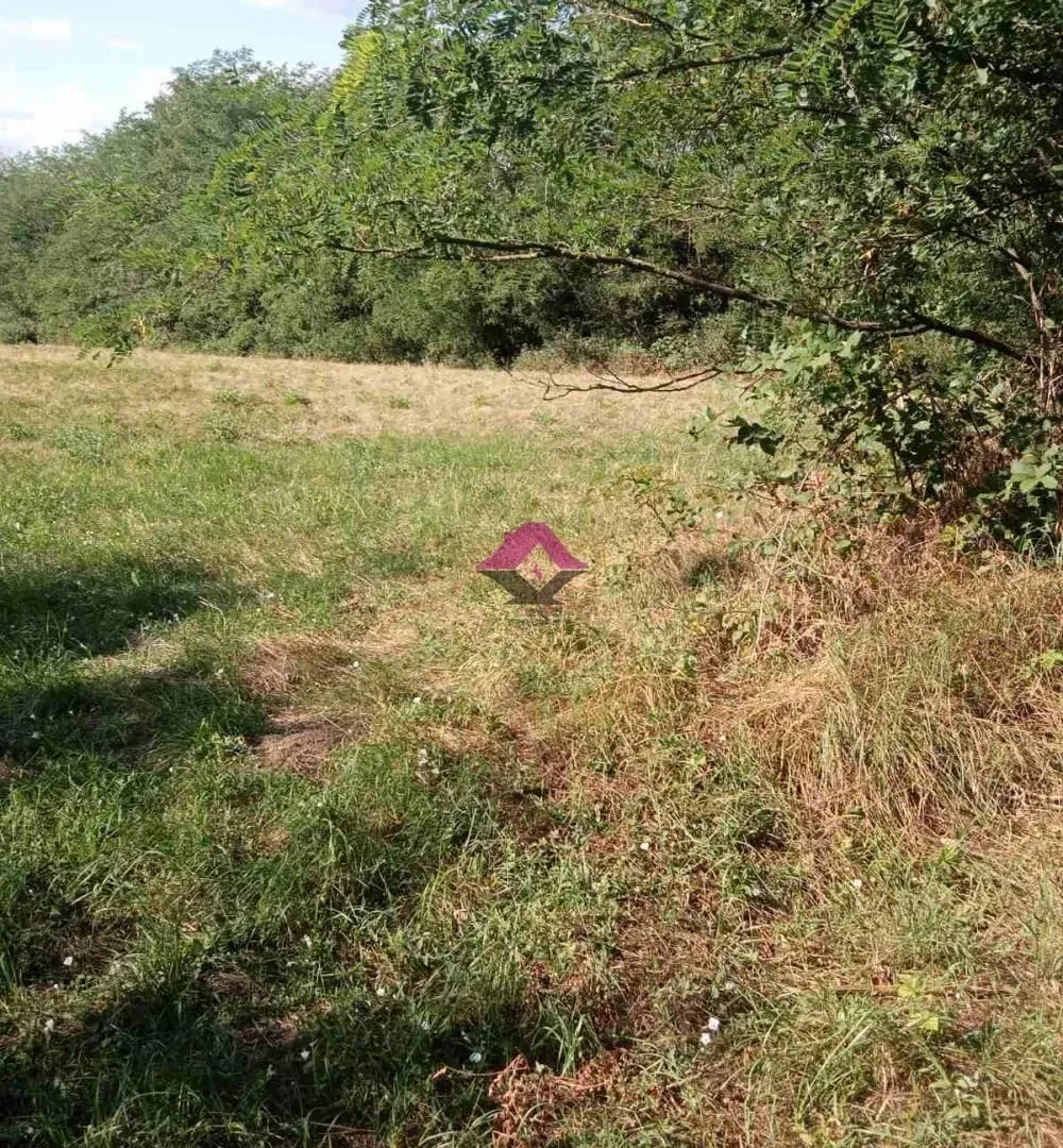Prodaja, plac, 17100m², Dučina, Sopot