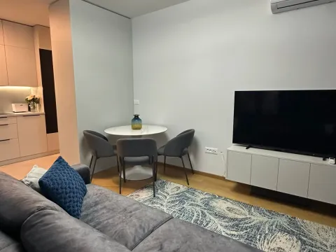 Sale, one bedroom apartment, 43m², Rozino, Budva - image 17