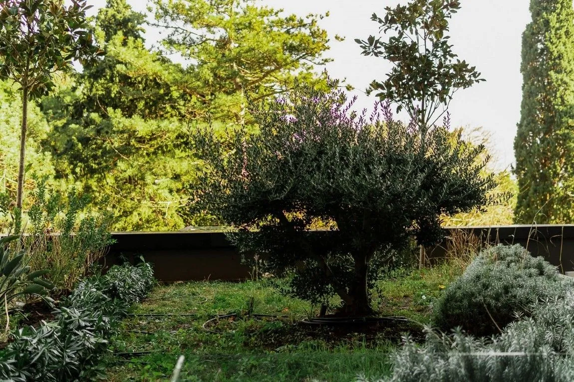 Sale, two bedroom apartment, 89m², Centar, Budva