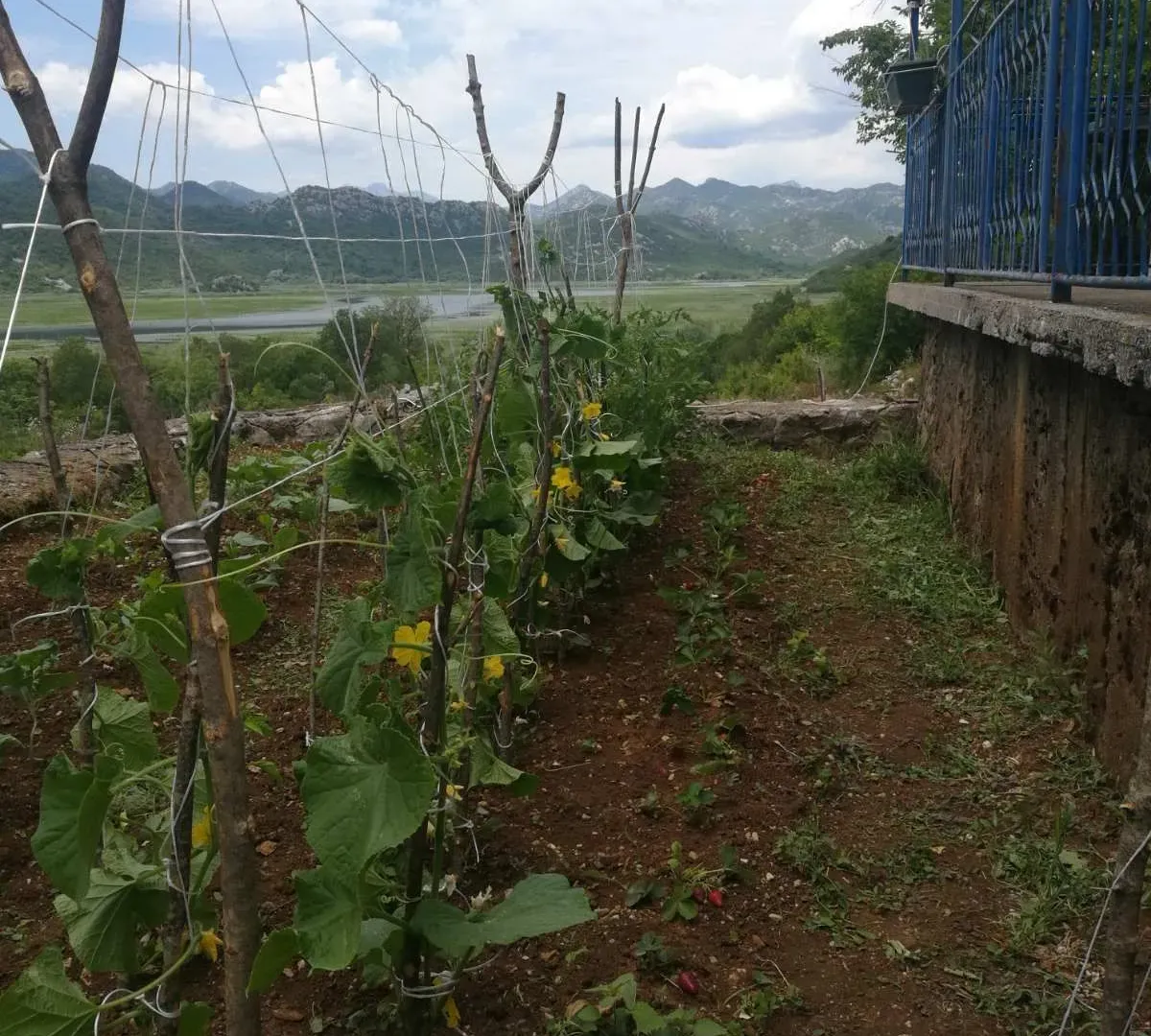 Prodaja, kuća, 100m², Cetinje, Crna Gora