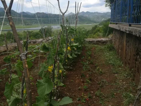 Sale, house, 100m², Cetinje, Crna Gora - image 8