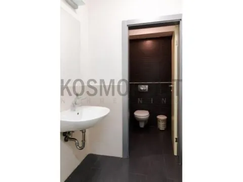 Sale, office space, 149m², Slavujev Venac, Zvezdara Sve Podlokacije - image 9
