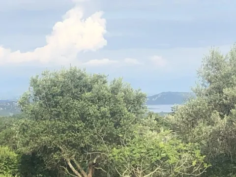 Sale, land lot, 18900m², Velja Gorana, Bar - image 3