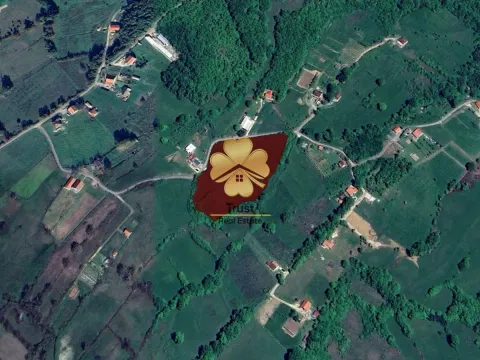 Prodaja, plac, 2500m², Crnci, Podgorica - image 2