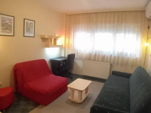 Izdavanje, garsonjera, 17m², Nova Detelinara, Novi Sad Sve Podlokacije - image 5