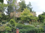 Prodaja, kuća, 160m², Beočin, Srbija - image 11