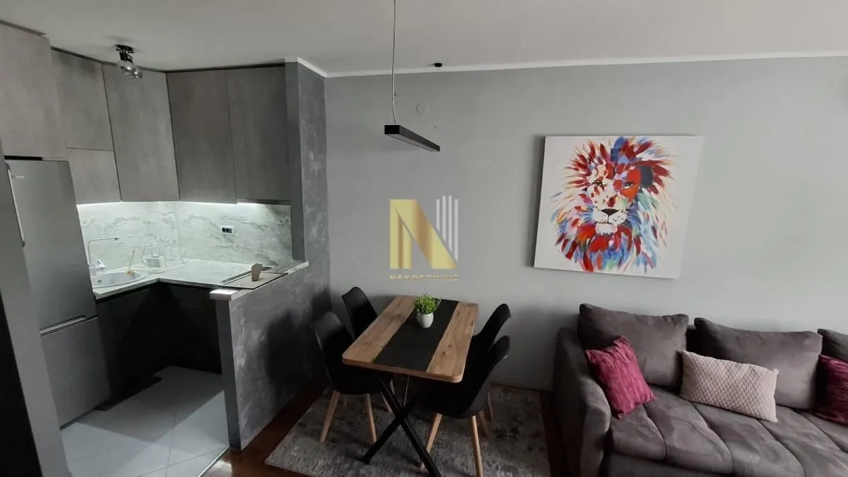 Rent, one bedroom apartment, 44m², Centar, Novi Sad