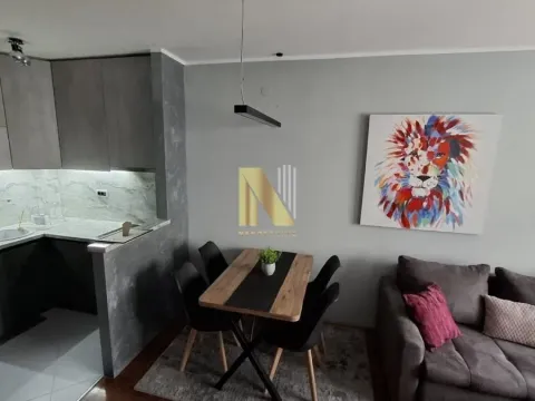 Izdavanje, jednosoban stan, 44m², Centar, Novi Sad - image 4