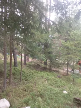 Šumski predio i dvorište ispred nekretnine. - image 2