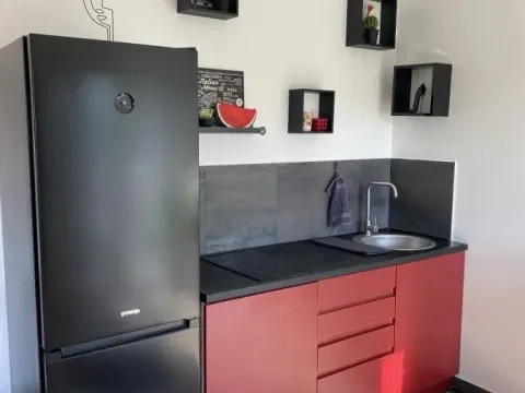 Izdavanje, dvosoban stan, 40m², Dušanovac, Voždovac Sve Podlokacije - image 2