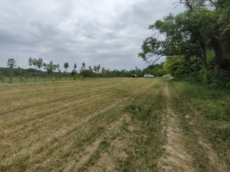 Prodaja, plac, 2300m², Beočin, Srbija