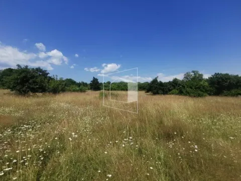 Prodaja, plac, 27285m², Danilovgrad, Crna Gora - image 3