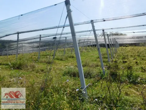 Sale, land lot, 350m², Kragujevac, Srbija - image 29