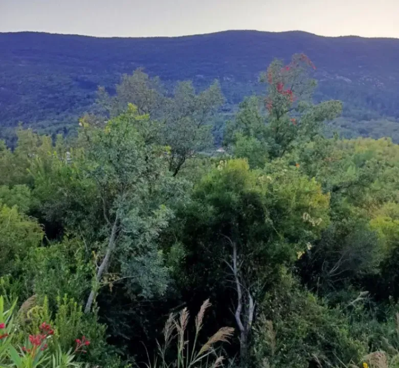 Sale, land lot, 308m², Mojdež, Herceg Novi