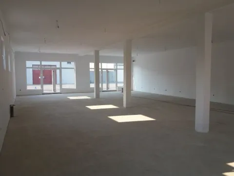 Izdavanje, poslovni prostor, 400m², Altina, Beograd - image 2