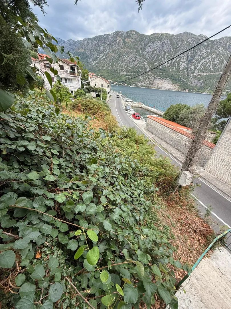 Pogled sa imanja na zaliv, put i planine u pozadini.