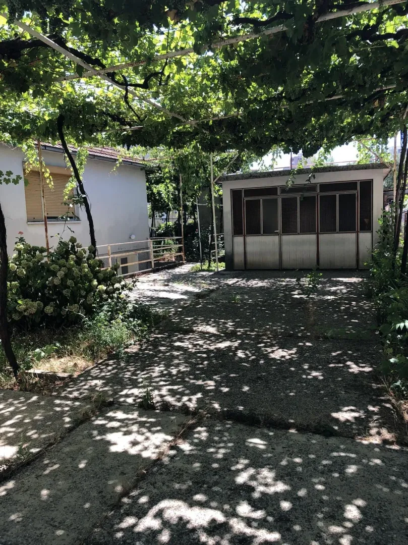 Dvorište kuće sa vinovom lozom i pomoćnim objektom.