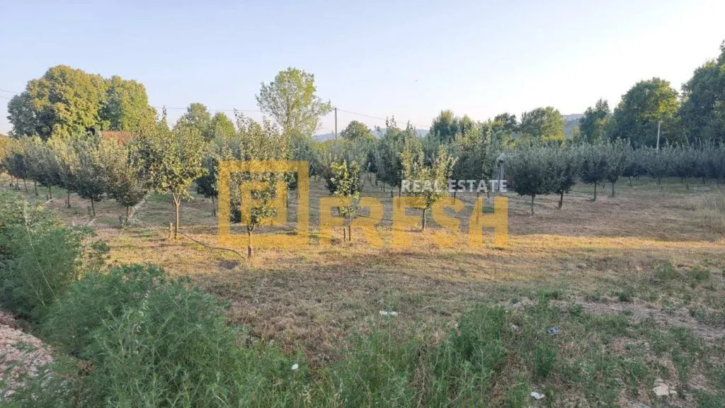 Prodaja, plac, 3800m², Danilovgrad, Crna Gora