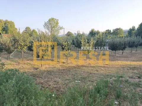 Prodaja, plac, 3800m², Danilovgrad, Crna Gora - image 3