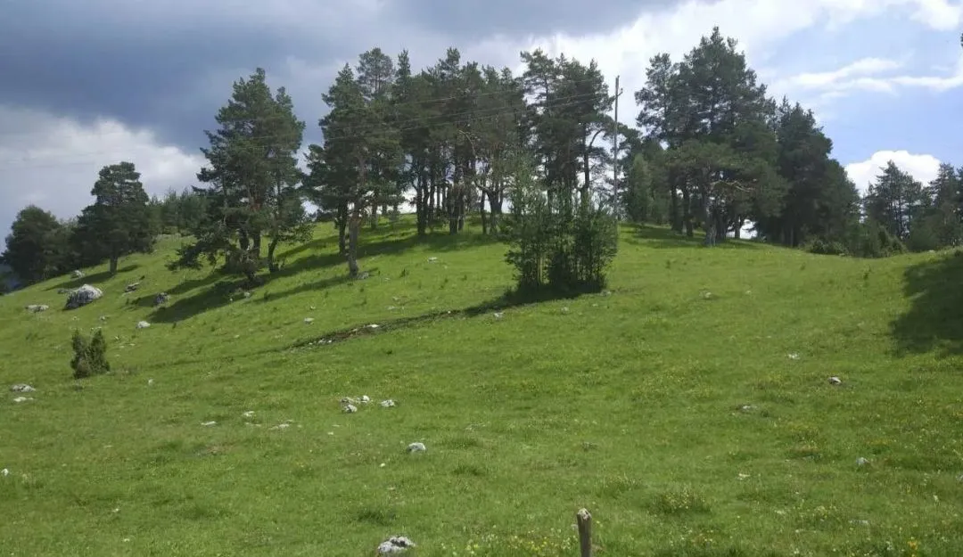Prodaja, plac, 12000m², Žabljak, Crna Gora