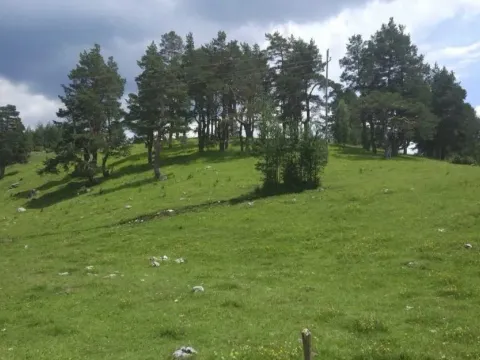 Prodaja, plac, 12000m², Žabljak, Crna Gora - image 5