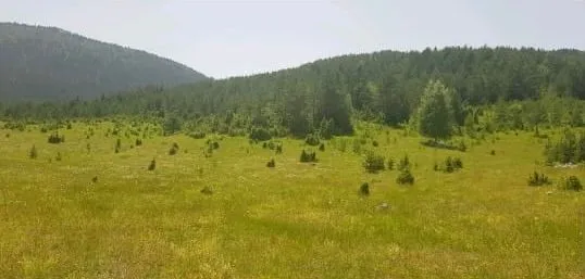 Prodaja, plac, 28400m², Žabljak, Crna Gora