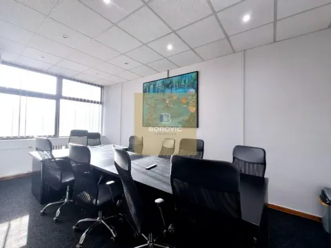 Izdavanje, poslovni prostor, 215m², Banovo Brdo, Beograd - image 8