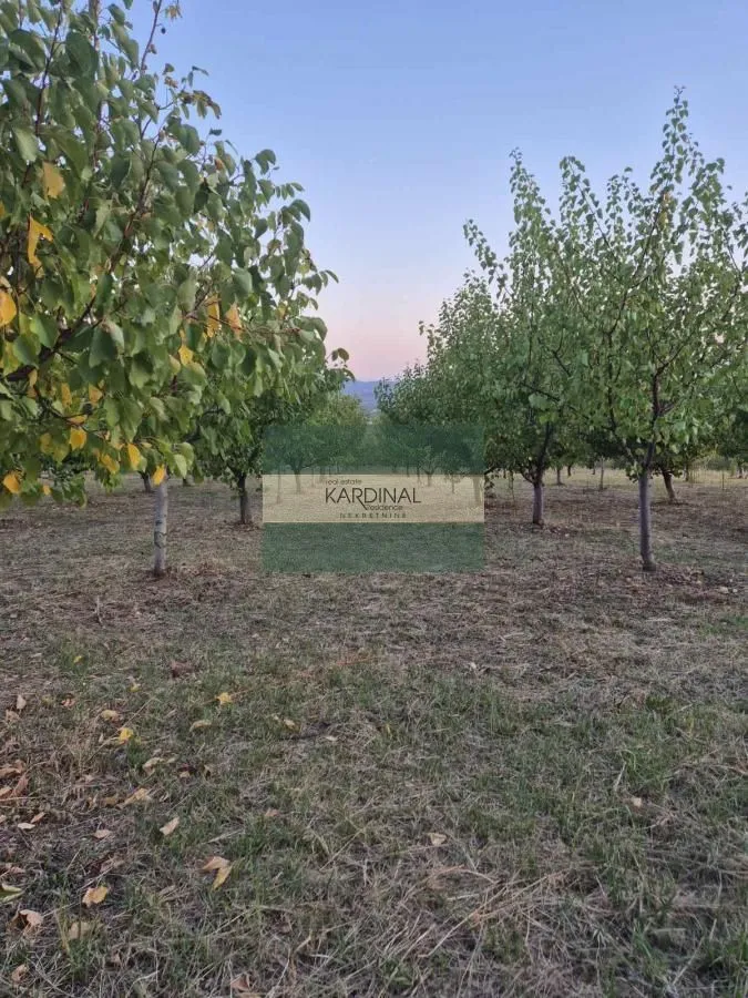 Prodaja, plac, 27920m², Siokovac, Jagodina