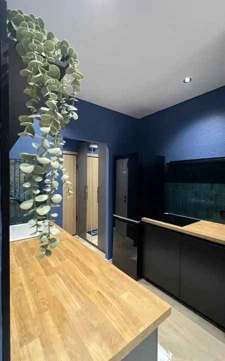 Sale, one bedroom apartment, 33m², Bijeli Do, Budva