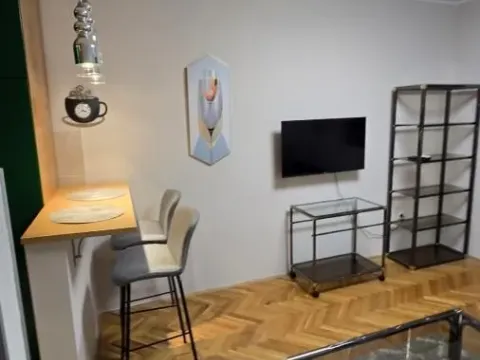 Izdavanje, jednosoban stan, 47m², Grbavica, Novi Sad Sve Podlokacije - image 1