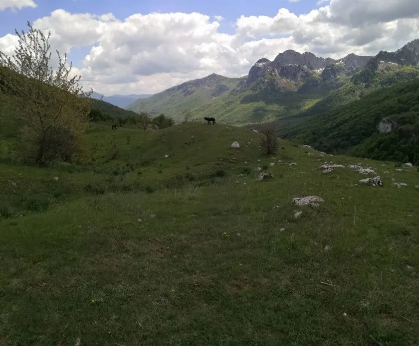 Pogled na brdoviti pejzaž sa zelenom travom i planinama u pozadini.