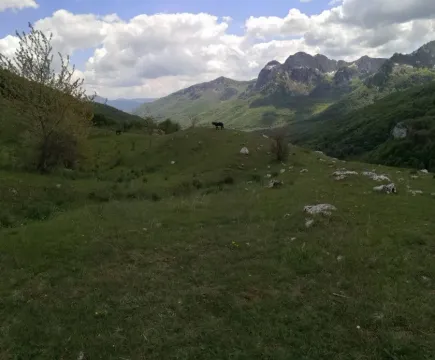 Pogled na brdoviti pejzaž sa zelenom travom i planinama u pozadini. - image 4