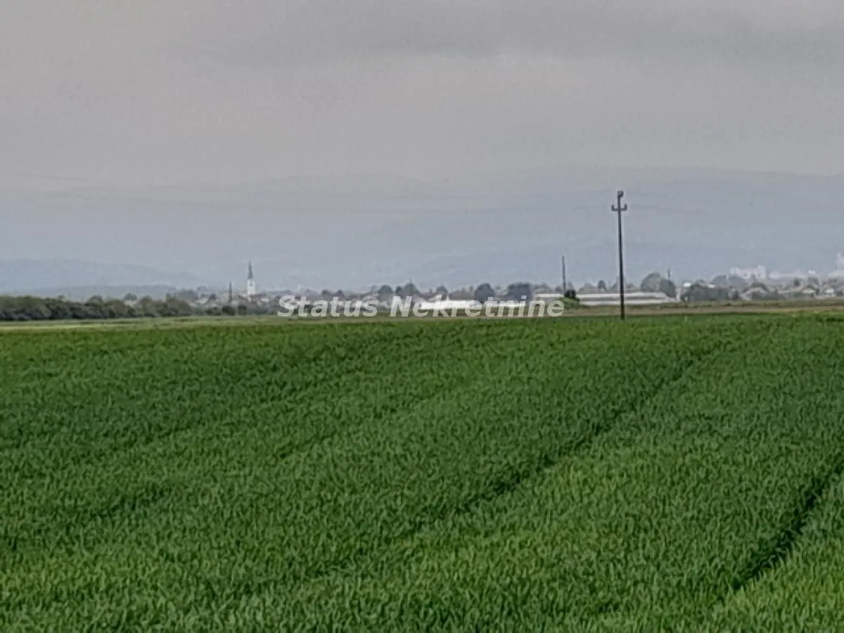 Prodaja, plac, 115m², Futog, Novi Sad Sve Podlokacije