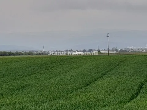 Sale, land lot, 115m², Futog, Novi Sad Sve Podlokacije - image 6