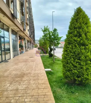 Pogled na spoljašnjost zgrade sa trotoarom i uređenim zelenilom. - image 12