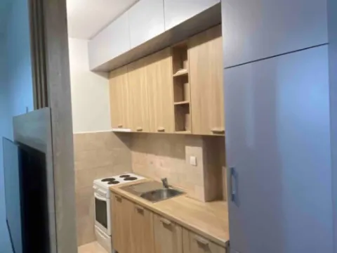 Izdavanje, jednosoban stan, 42m², Ljubović, Podgorica - image 6